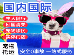 胶东机场货运国际宠物托运 【国
